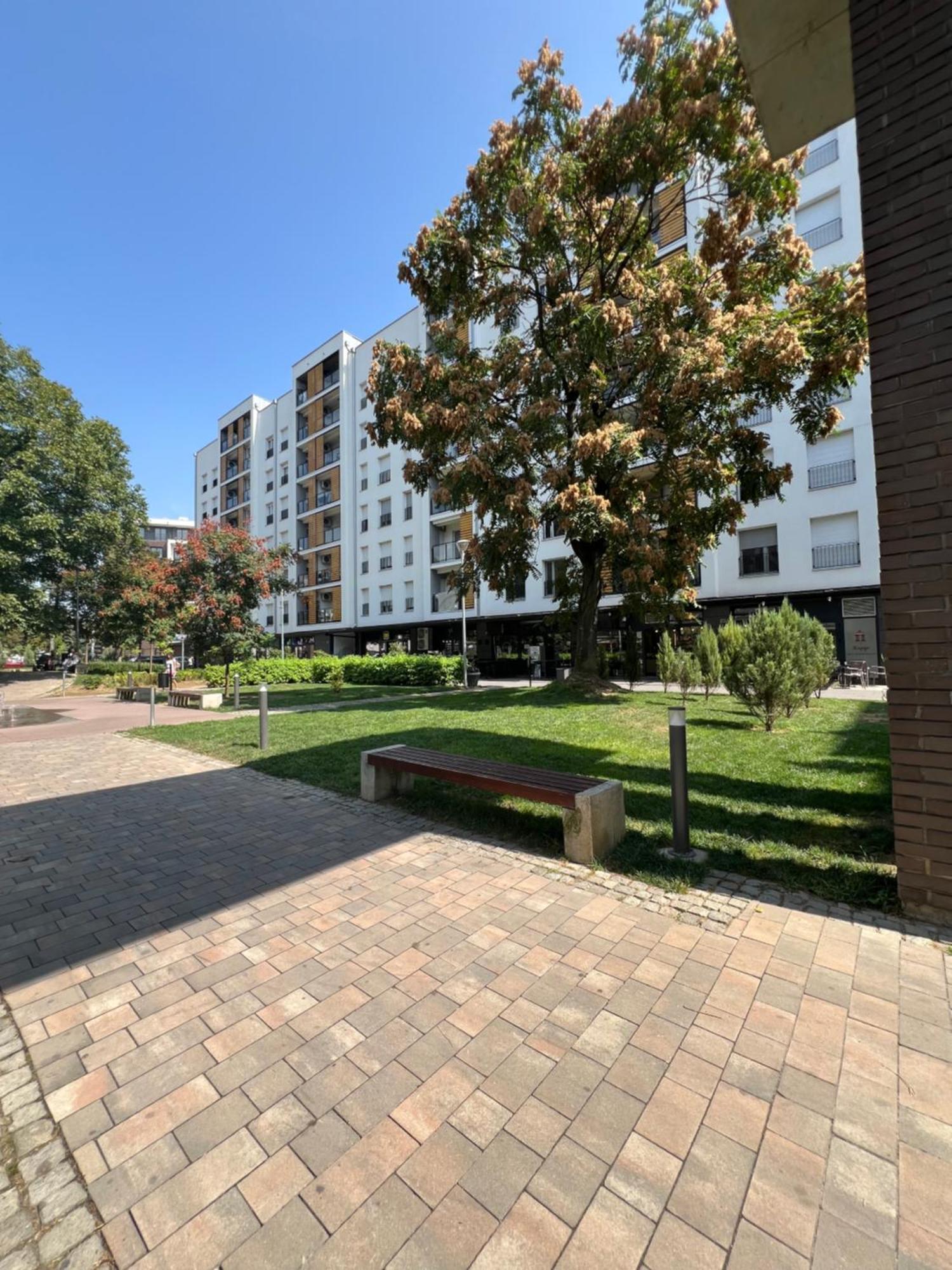 Ferienwohnung Delete 5 - Zemunske Kapije Belgrad Exterior foto